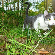 Intense participe au concours pour gagner de l'argent avec cette photo :