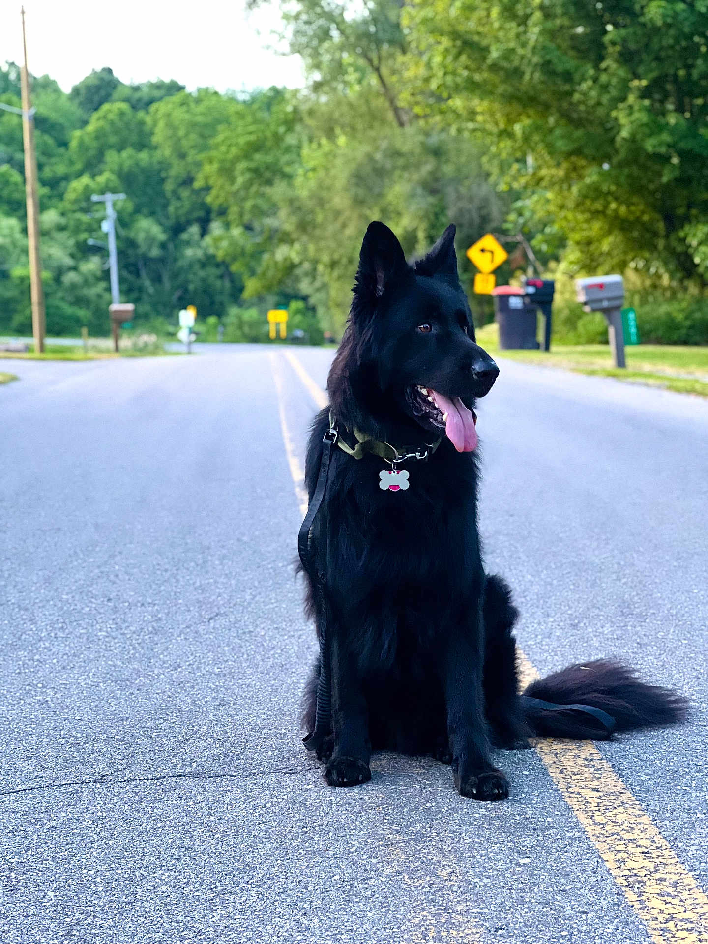 Loki