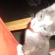 LOL participe au concours pour gagner de l'argent avec cette photo :