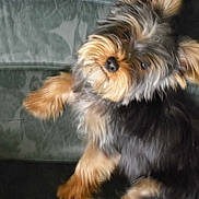 Julius a rejoint le concours — aidez-le/la à gagner de superbes lots !