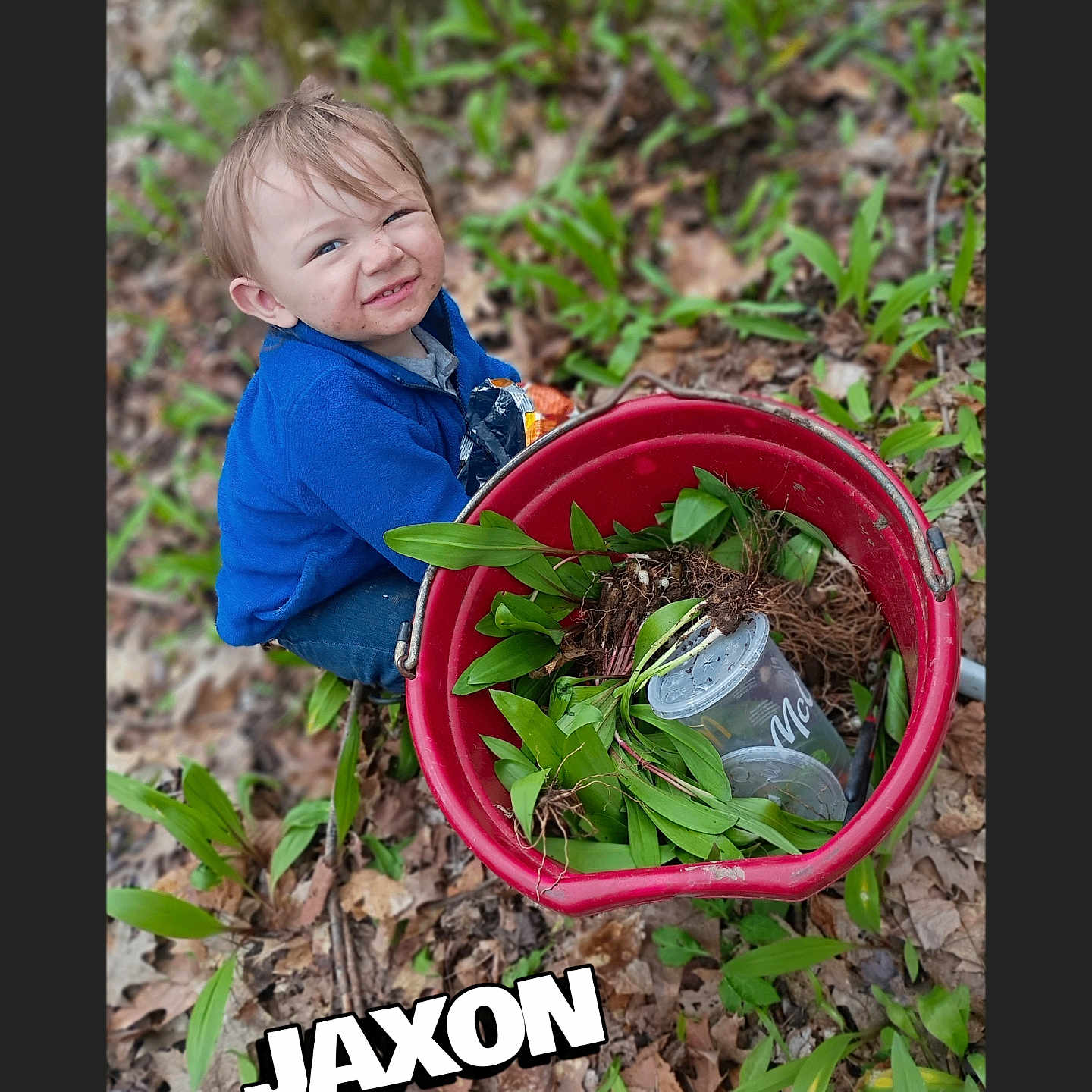 Jaxon joined the competition — help win amazing prizes! child, toddler, smiling, blue_jacket, red_bucket, plants, leaves, outdoor, forest_floor, snack_bag, dirt, greenery, nature, young_child, playful, messy_face, person, daylight, casual_clothing, adventure