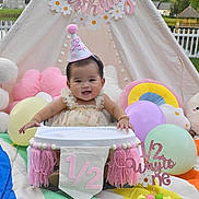 Emersyn Do is registered to the contest to win money with this photo: baby, birthday, half_birthday, high_chair, party_hat, balloons, plush_toys, tent, outdoor, grass, fence, smiling, celebration, colorful, decorations, child, cute, festive, happy, portrait