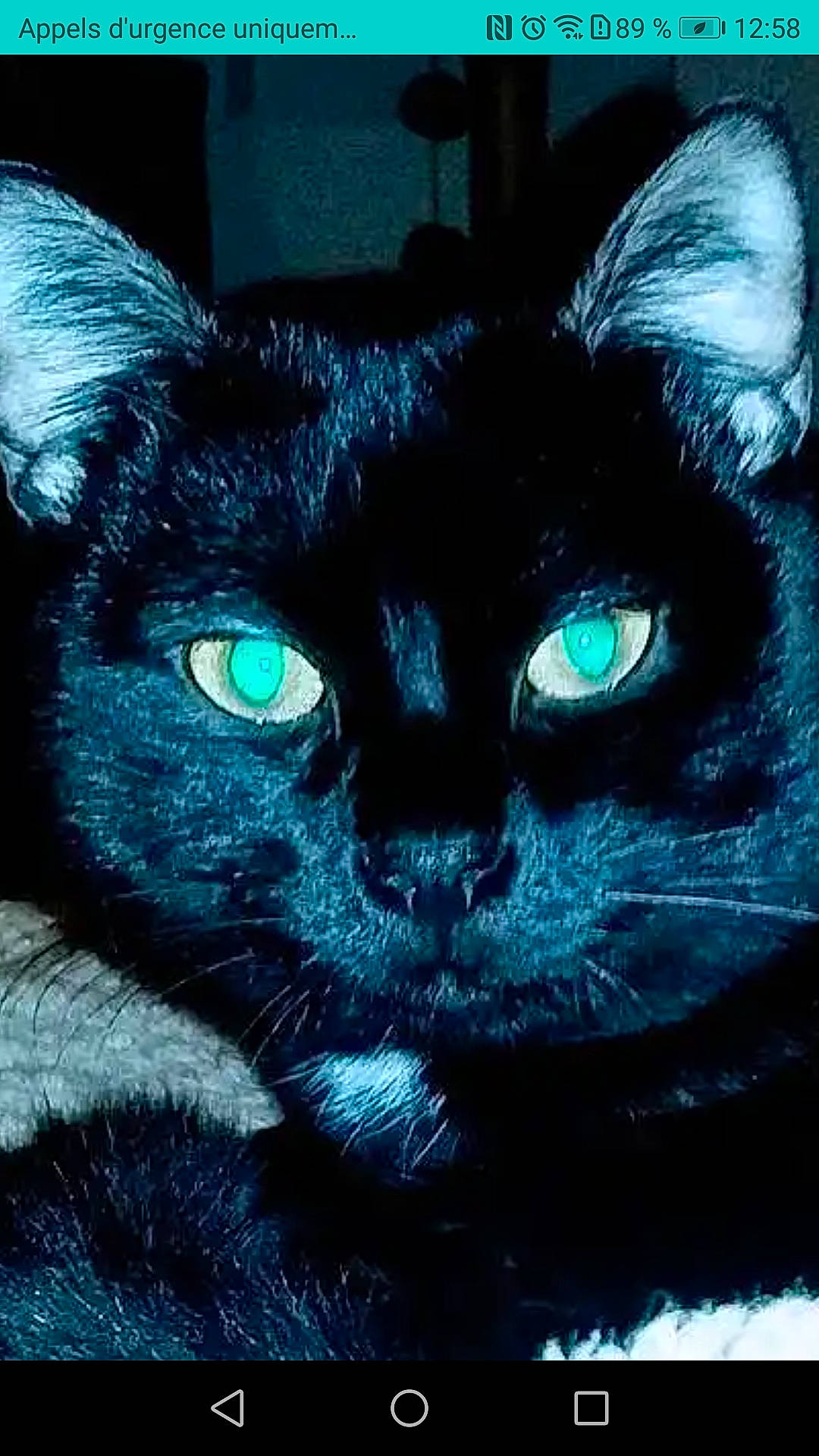 Onyx participe au concours pour gagner de l'argent avec cette photo : art, black_cat, carnivore, cat, close_up, darkness, domestic_short_haired_cat, electric_blue, felidae, fur, illustration, iris, mammal, small_to_medium_sized_cats, snout, tail, terrestrial_animal, vertebrate, visual_arts, whiskers