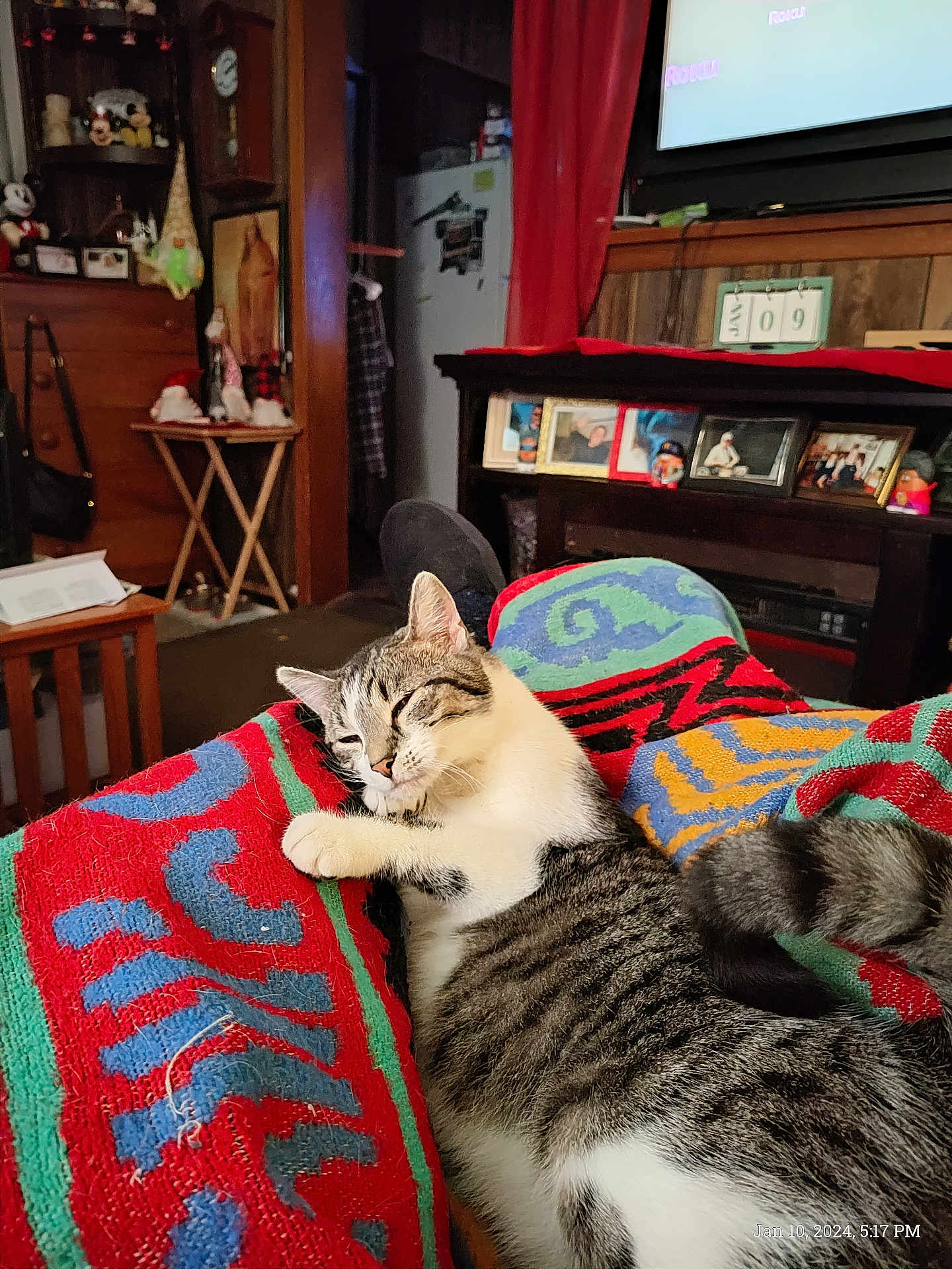 Licorice joined the competition — help win amazing prizes! cat, tabby_cat, kitten, blanket, colorful_blanket, living_room, television, photo_frames, shelf, wooden_furniture, curtain, refrigerator, clock, decor, cozy, sleeping, paw, tail, whiskers, patterns