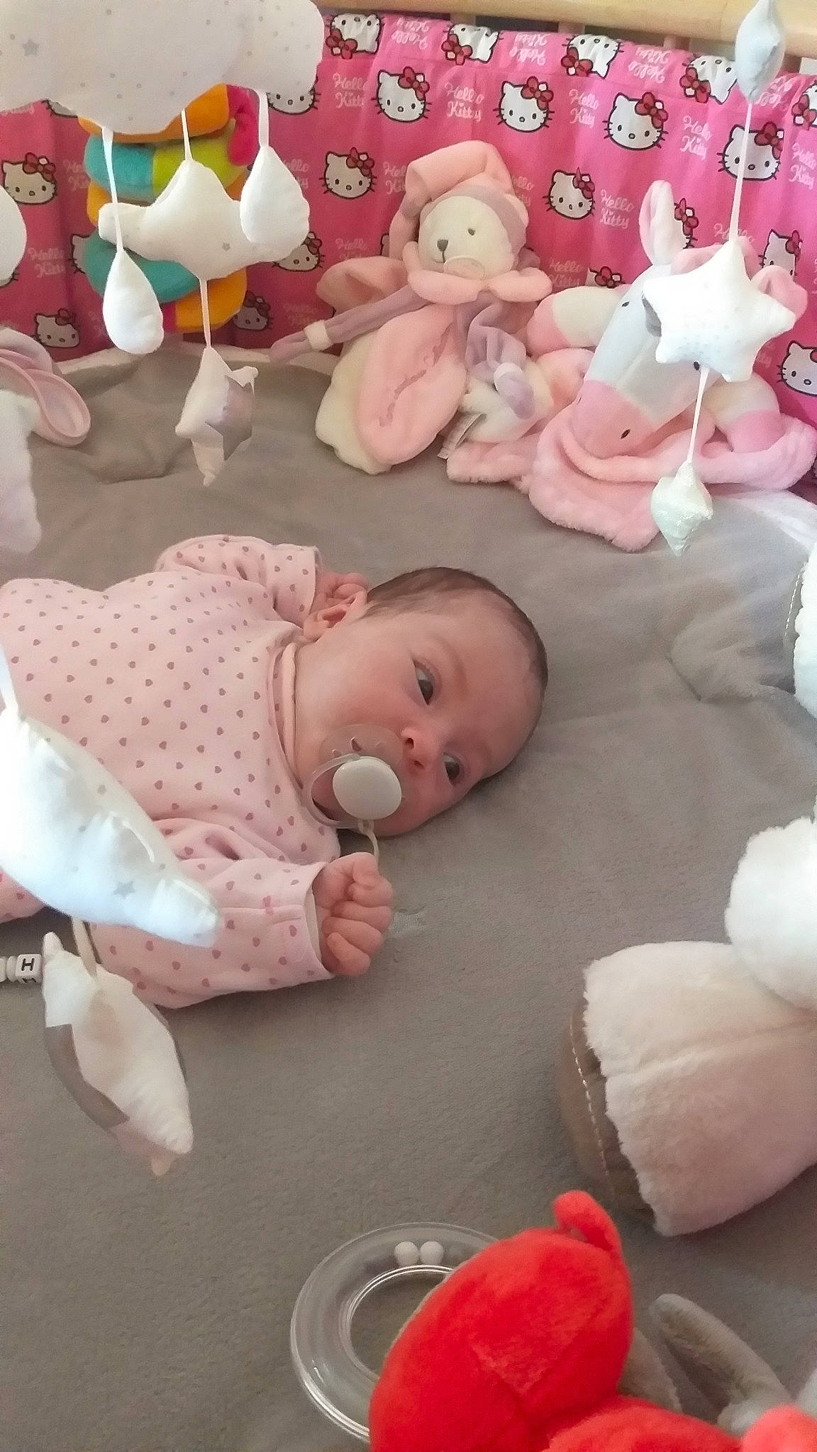 Shelsy participe au concours pour gagner de l'argent avec cette photo : baby, child, person, pink, play, plush, product, room, stuffed_toy, toddler, toy
