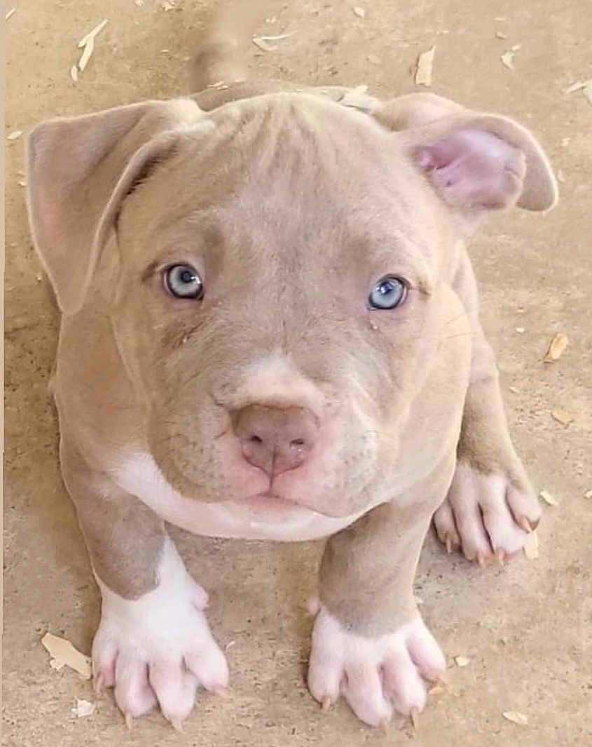 Thanos
