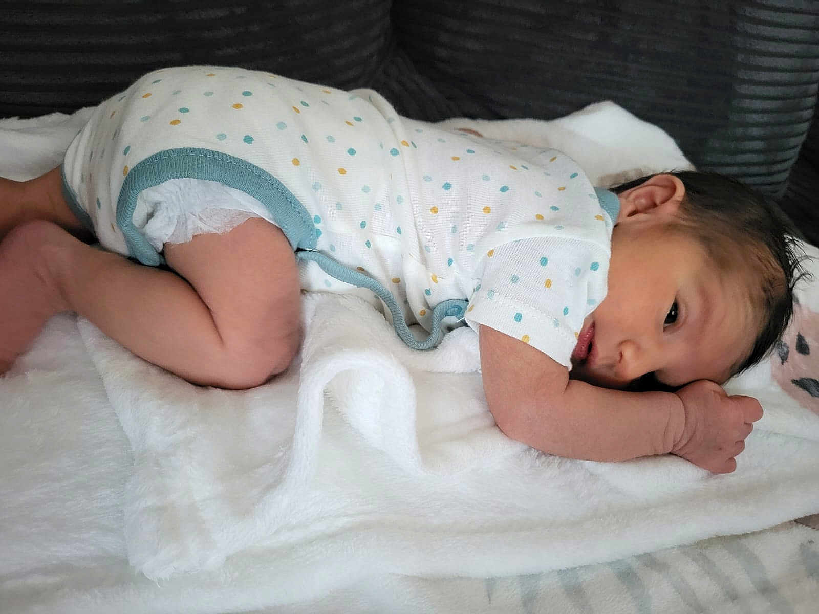 Wassim participe au concours pour gagner de l'argent avec cette photo : newborn, baby, infant, blanket, onesie, polka_dot, sleeping, soft, cute, resting, toddler, child, lying_down, indoor, cozy, small, human, skin, face, hand