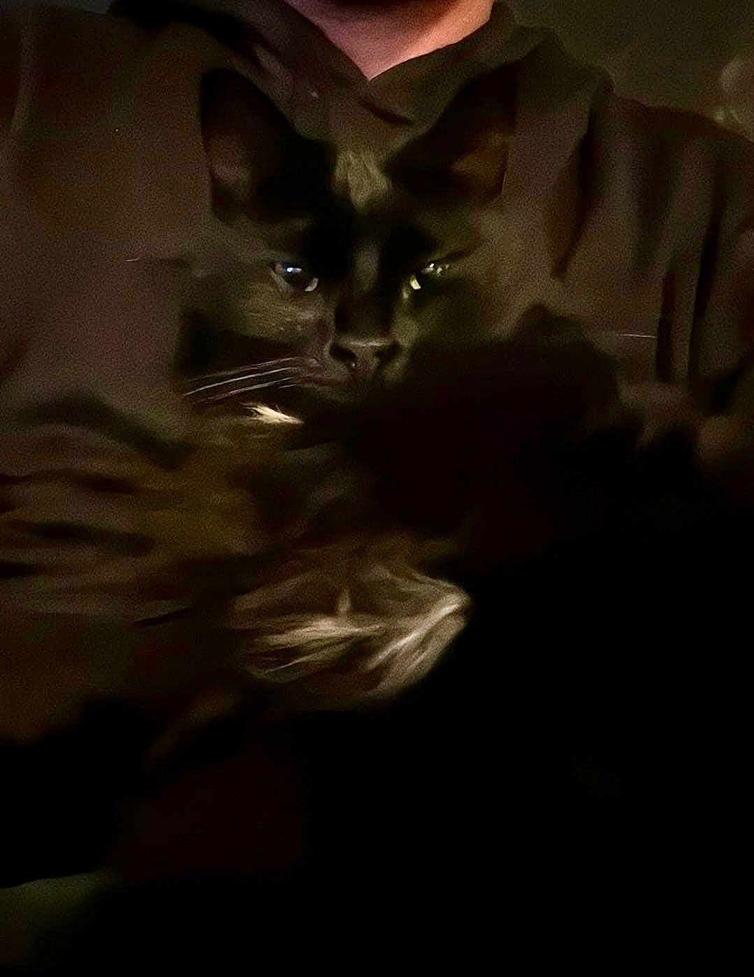 Mia