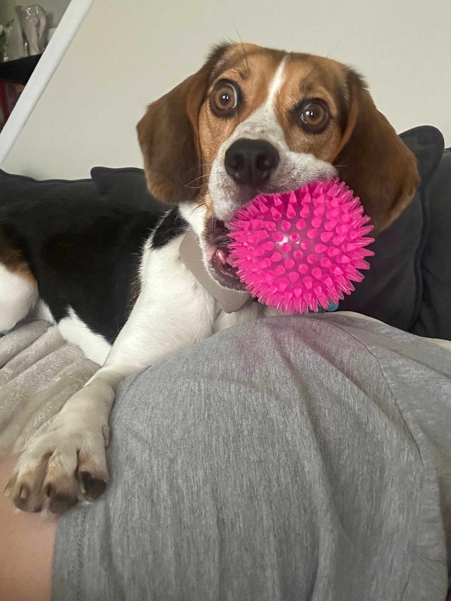 Mia