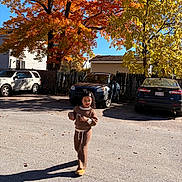 Laura joined the competition — help win amazing prizes! child, autumn, fall_leaves, tree, orange_leaves, yellow_leaves, car, parking_lot, asphalt, sunlight, shadow, outdoor, knitwear, sweater, pants, person, curly_hair, walking, daytime, residential_area
