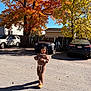 child, autumn, fall_leaves, tree, orange_leaves, yellow_leaves, car, parking_lot, asphalt, sunlight, shadow, outdoor, knitwear, sweater, pants, person, curly_hair, walking, daytime, residential_area