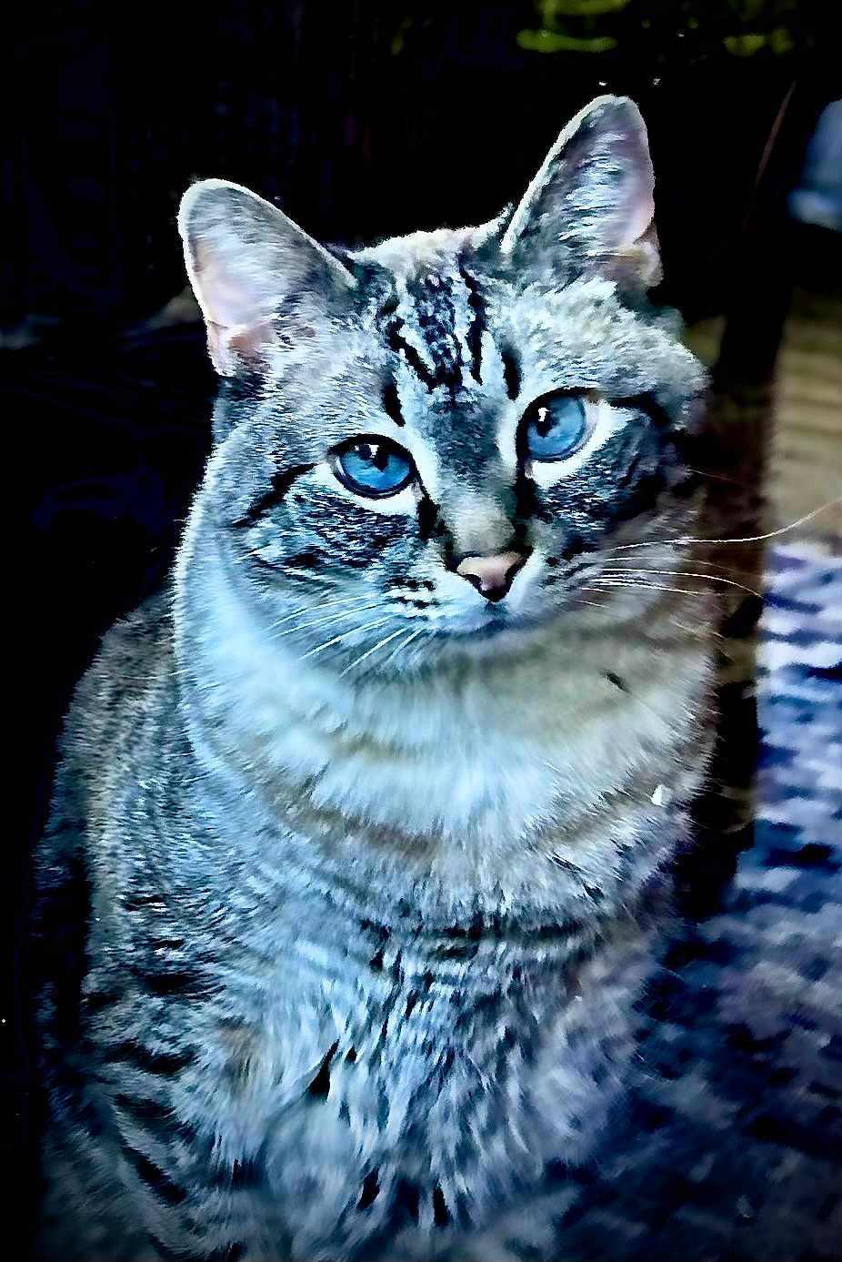 Jack