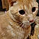 Oliver