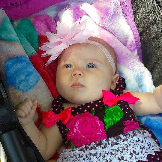 Penelope