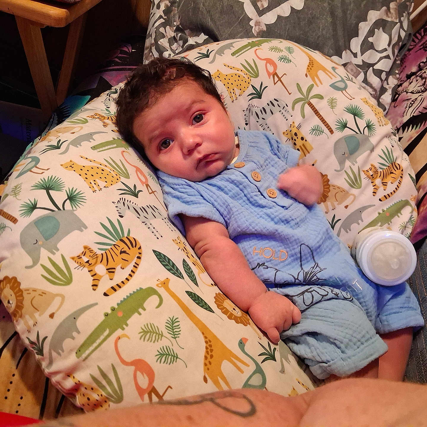 Shelltann joined the competition — help win amazing prizes! baby, infant, child, portrait, lying_down, blue_clothing, sweater, blanket, pillow, animal_pattern, jungle_theme, elephant, tiger, giraffe, bottle, indoor, cozy, brown_hair, wide_eyes, family_photo