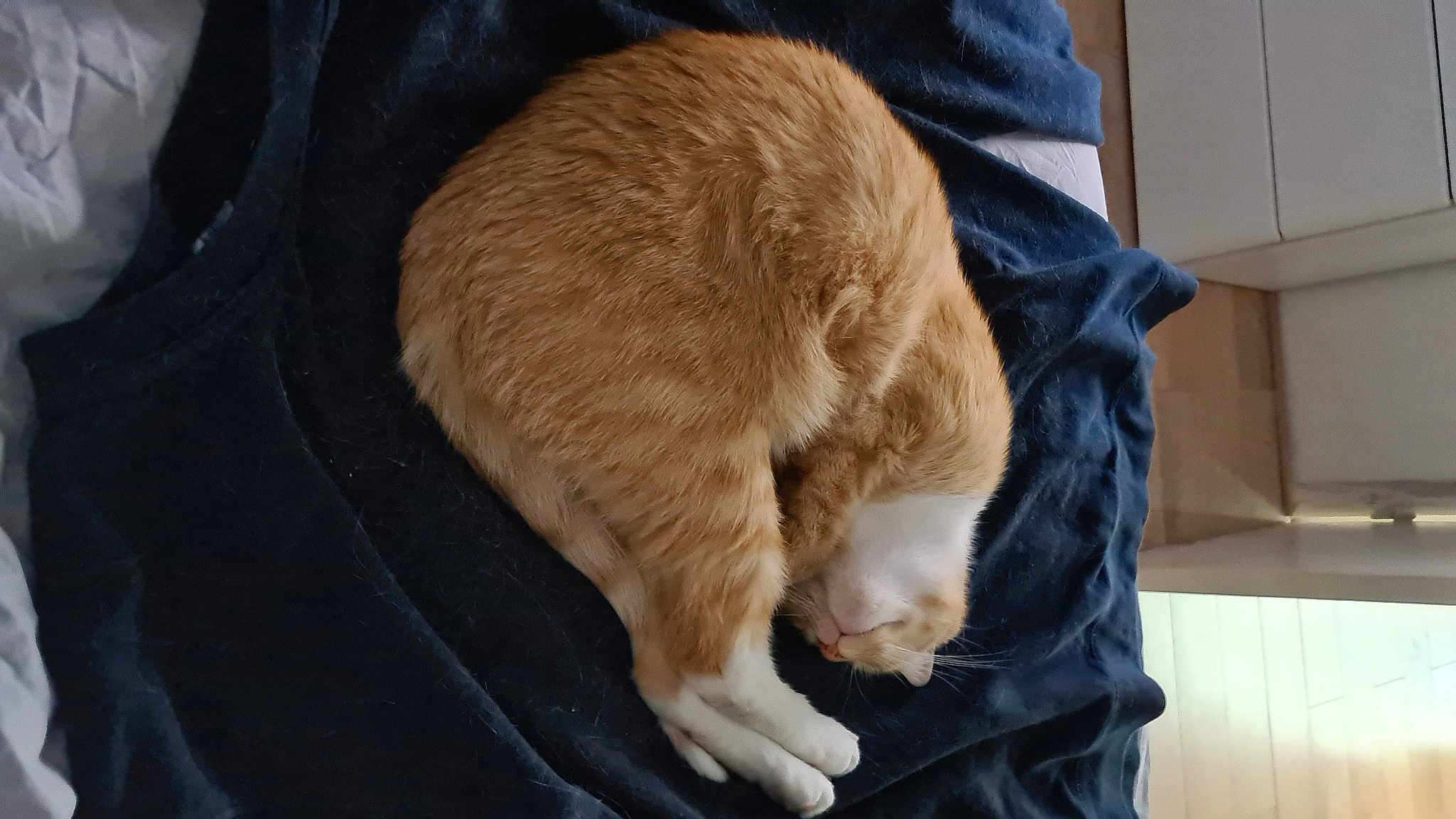 Chat