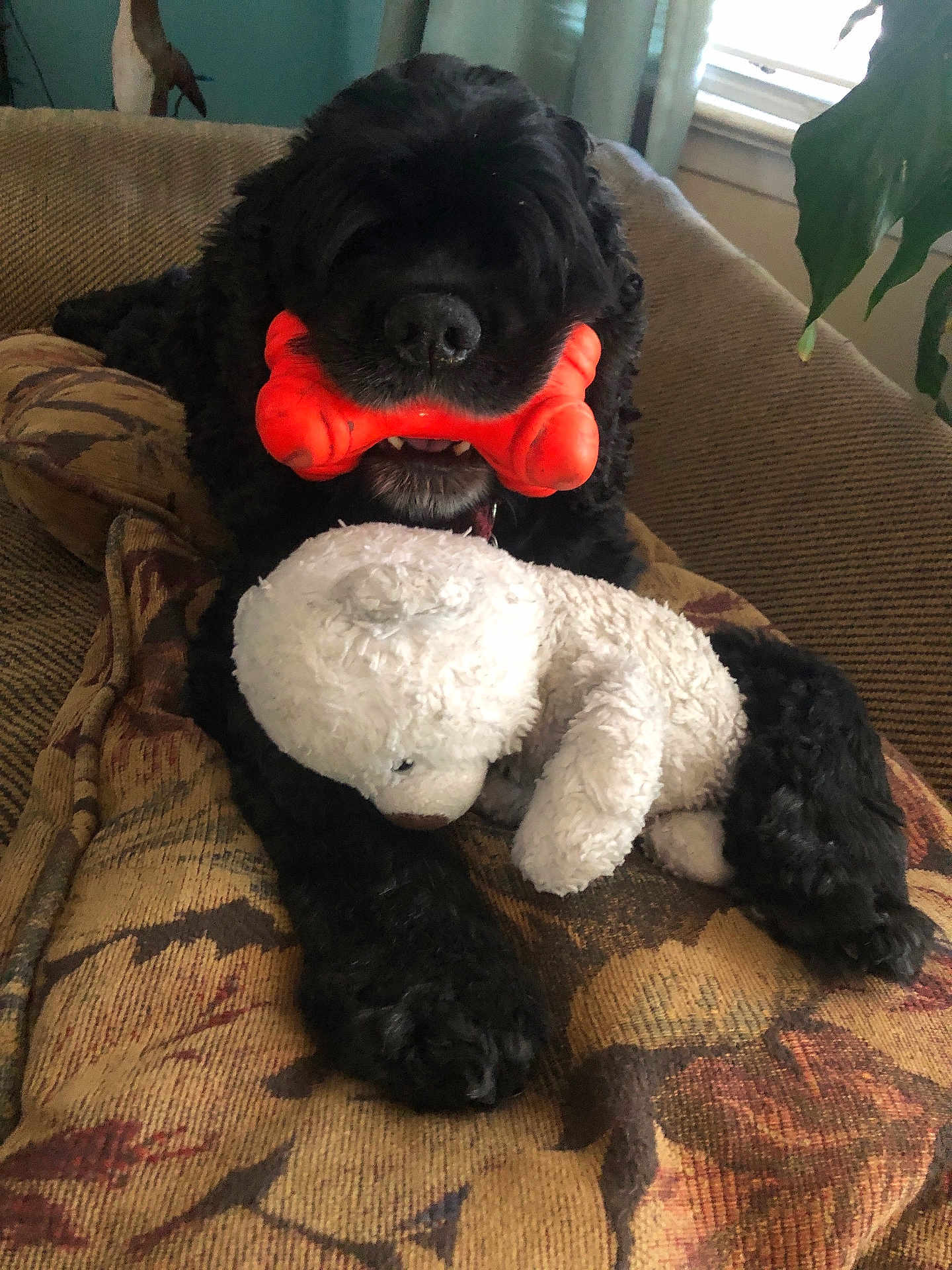 Bubba