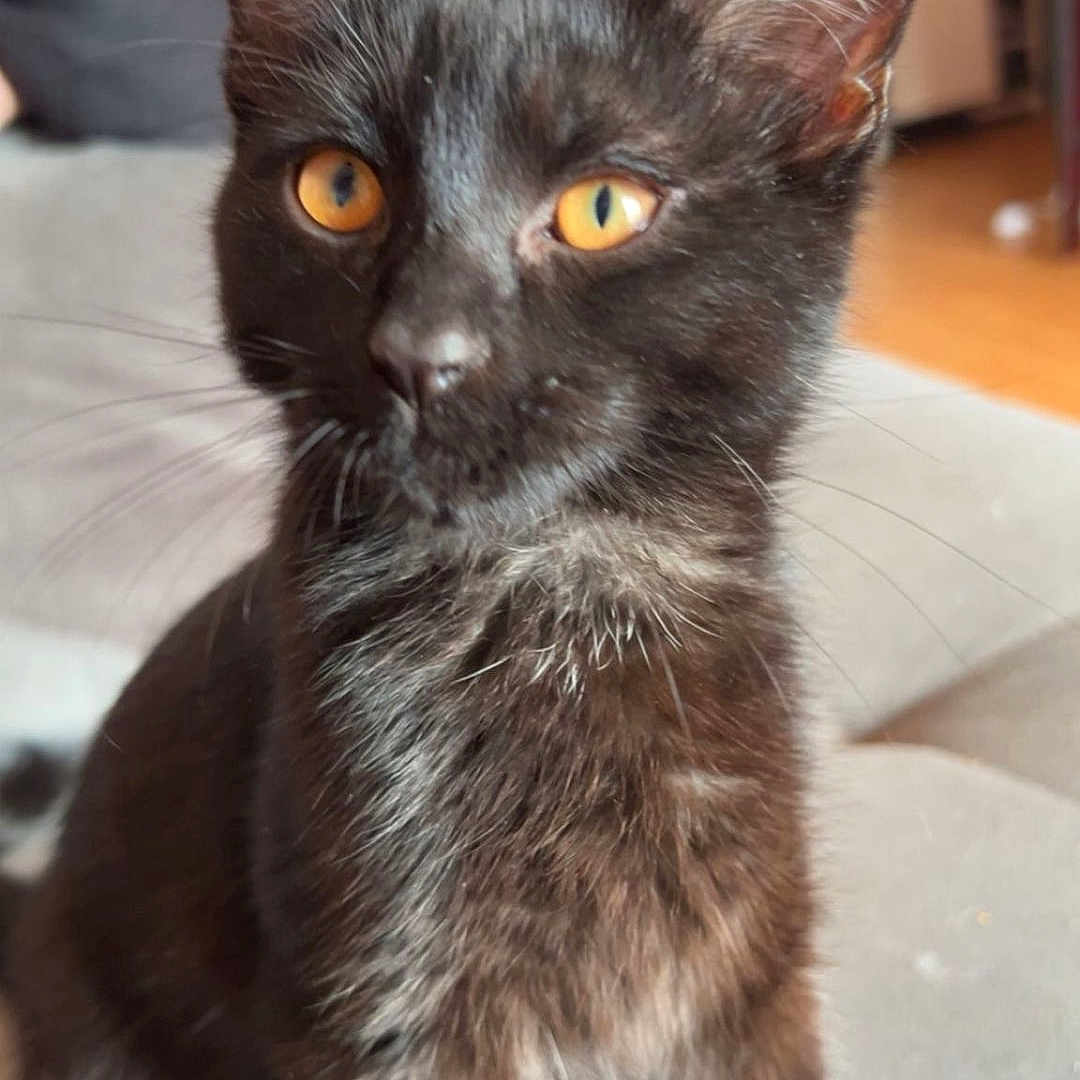 Lucifer