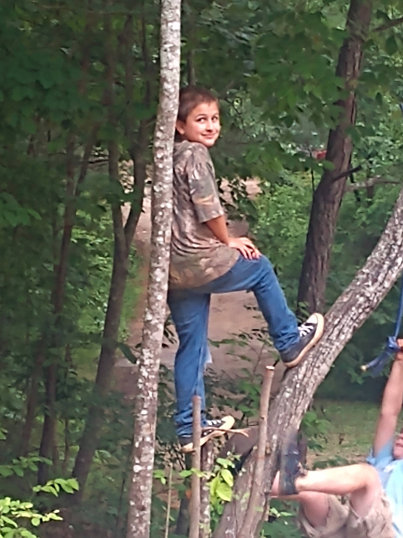 Dusty is registered to the contest to win money with this photo: birch, birch_family, forest, joy, person, plant, tree, trunk, woody_plant