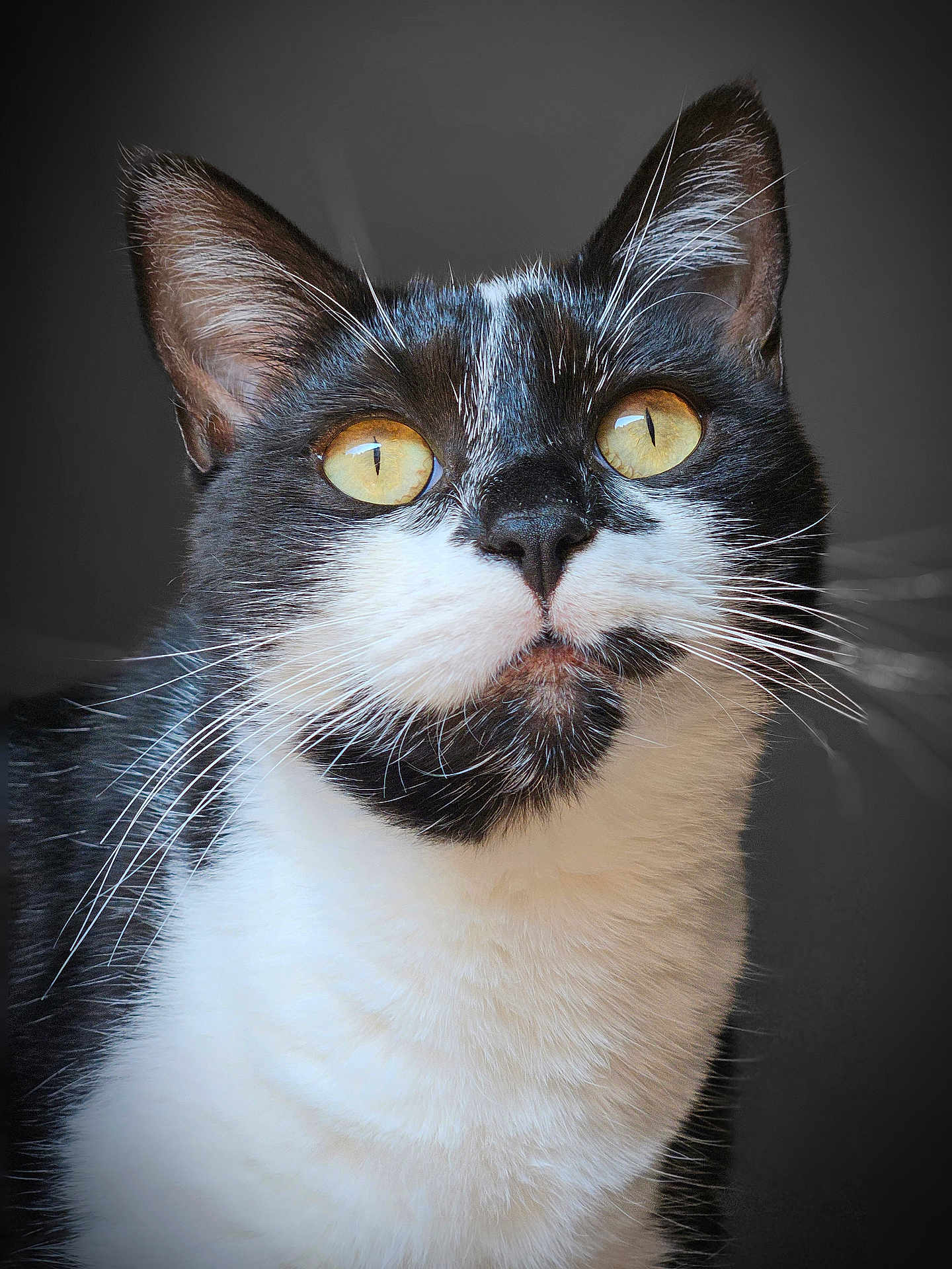 Lili