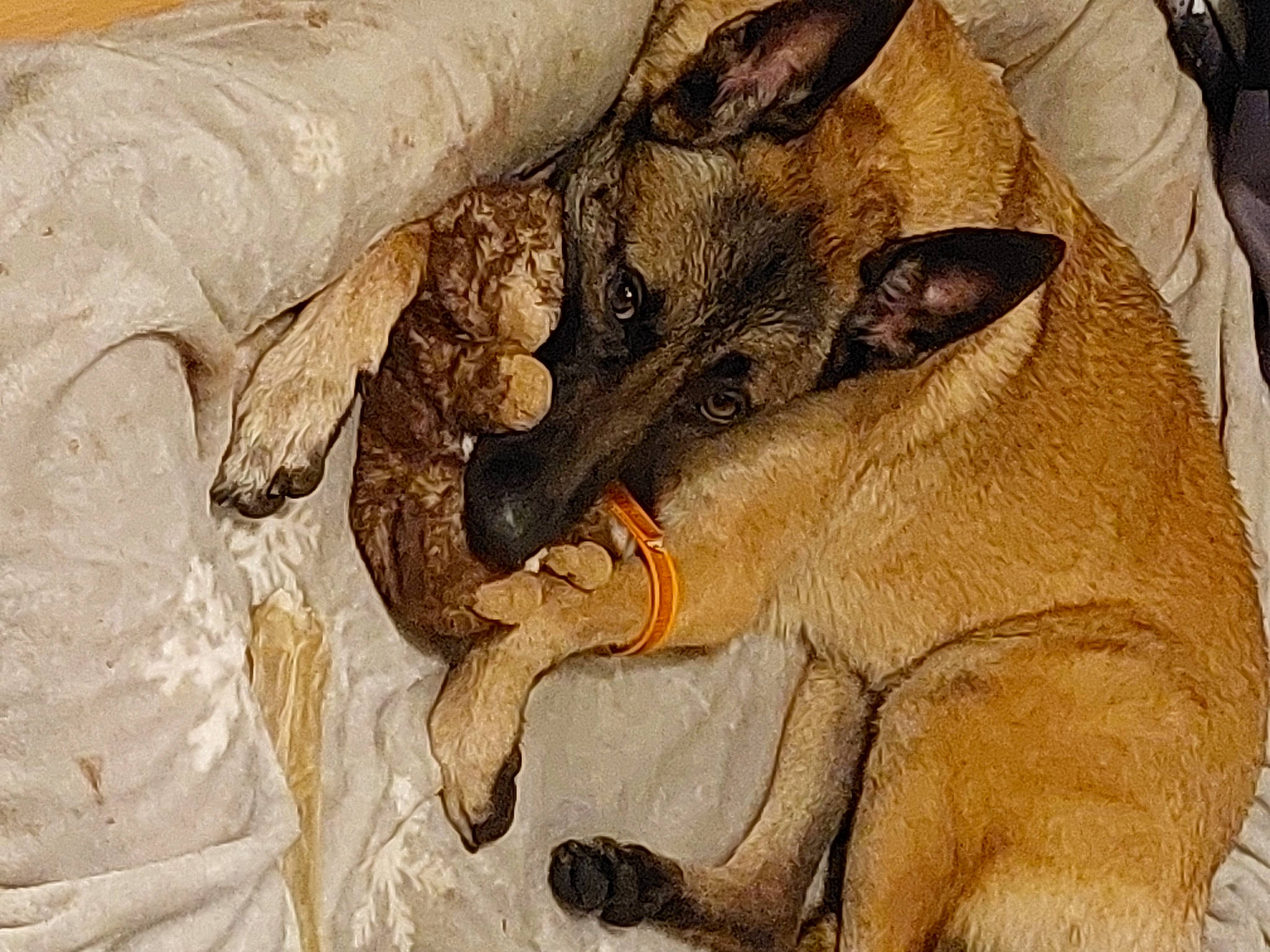 Laïka participe au concours pour gagner de l'argent avec cette photo : art, canidae, carnivore, claw, dog, dog_breed, fawn, liver, mammal, painting, paw, snout, sporting_group, tail, terrestrial_animal, treeing_tennessee_brindle, visual_arts, wildlife, working_animal