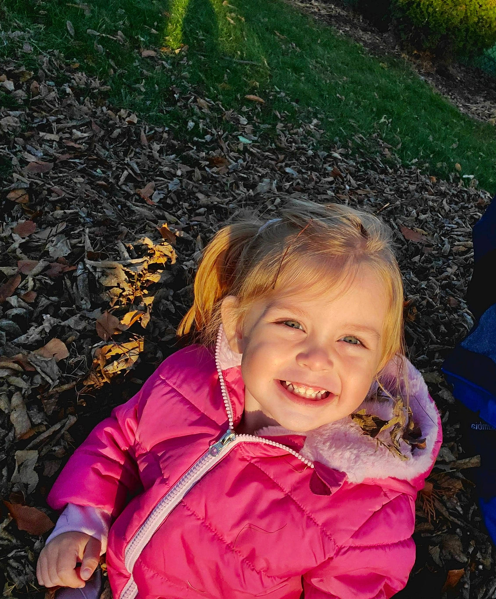 Elaine joined the competition — help win amazing prizes! beauty, botany, child, cool, fun, grass, green, happy, joy, leaf, leisure, magenta, people, people_in_nature, person, photograph, pink, smile, snapshot, toddler