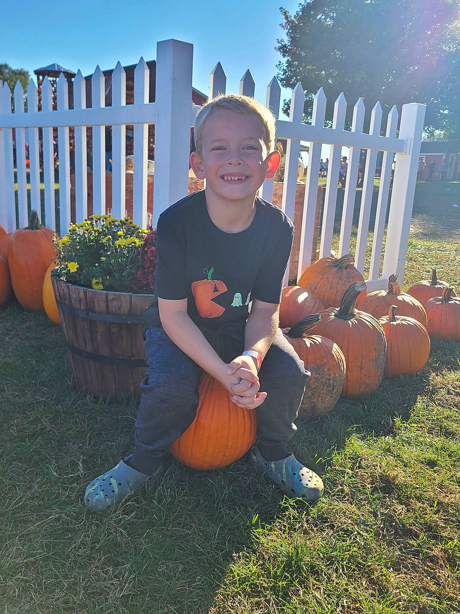 Mason is registered to the contest to win money with this photo: calabaza, cucurbita, fence, flowerpot, gourd, grass, happy, hat, houseplant, joy, musical_instrument, people_in_nature, person, plant, pumpkin, shorts, sky, smile, squash, tree