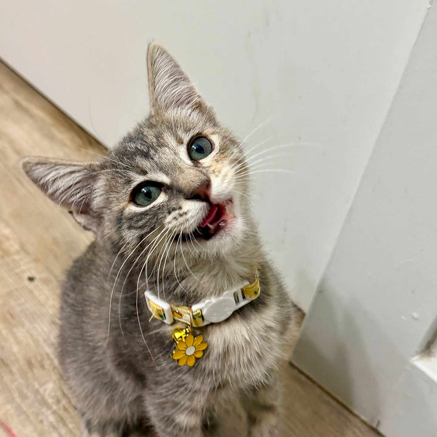 Cinder