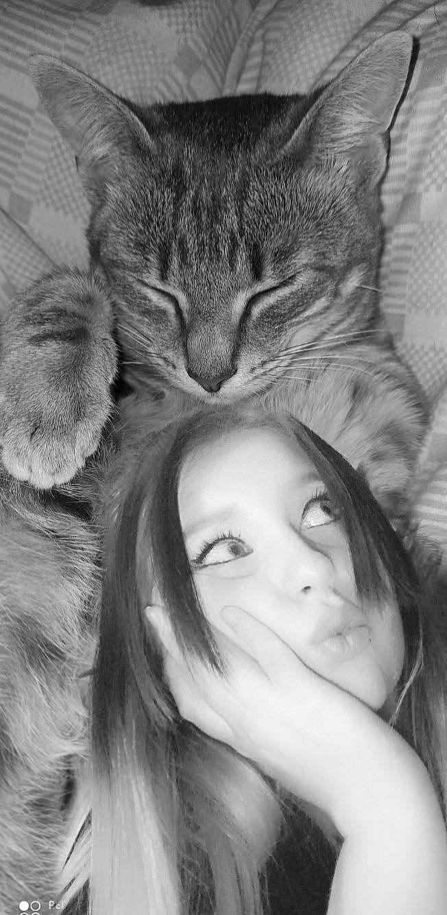 Antartica participe au concours pour gagner de l'argent avec cette photo : asian, black_and_white, carnivore, cat, domestic_short_haired_cat, ear, eye, felidae, fur, gesture, kitten, monochrome, nose, siberian, small_to_medium_sized_cats, tabby_cat, whiskers