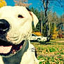 Jesel is registered to the contest to win money with this photo: