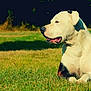 Jesel is registered to the contest to win money with this photo: