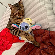 Max participe au concours pour gagner de l'argent avec cette photo : cat, tabby, sleeping, plush_toy, cuddling, blanket, striped_pillow, cozy, indoor, pet, fur, relaxed, cute, soft, resting, animal, mammal, comfort, nap, home