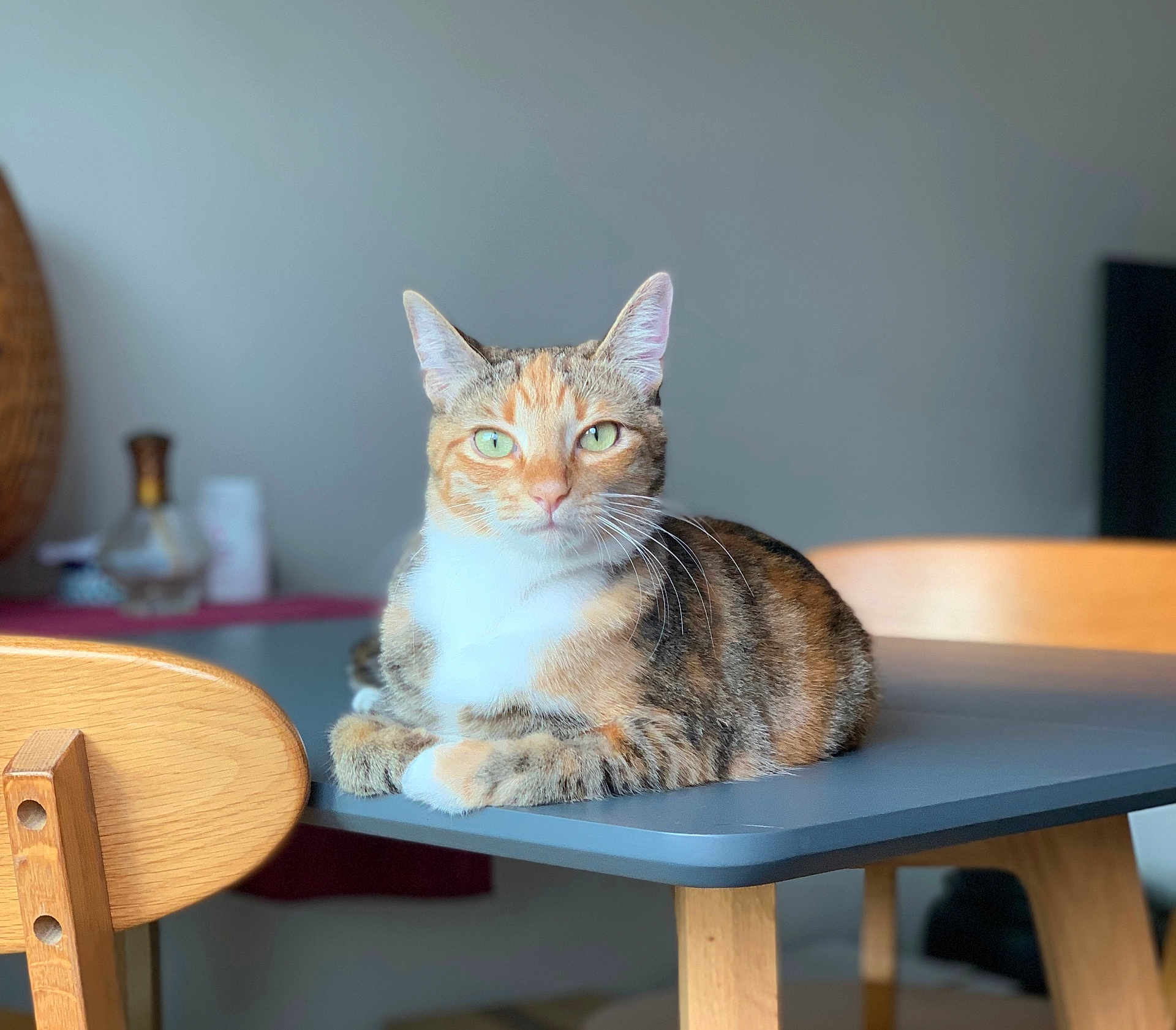 Babychoux