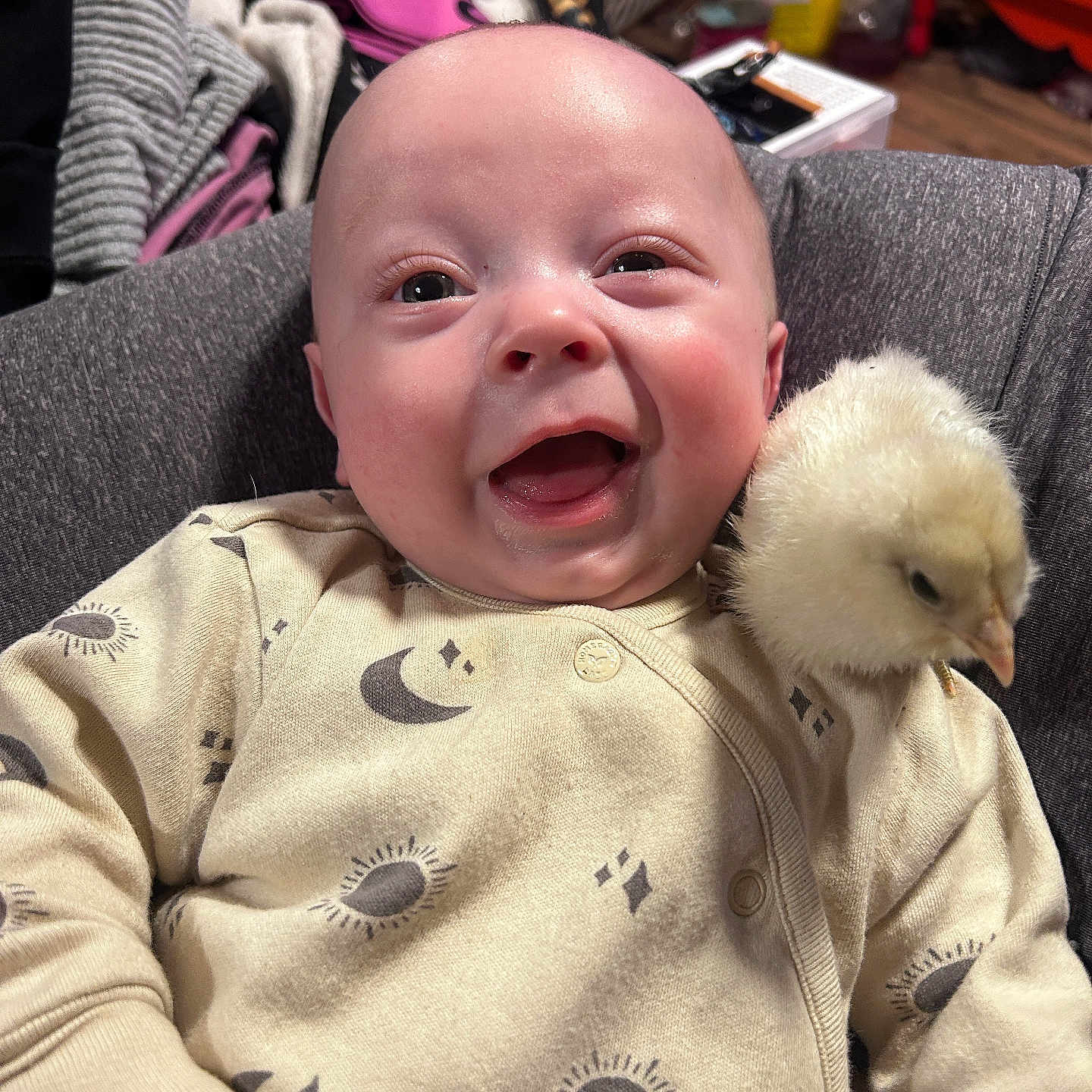Waylon joined the competition — help win amazing prizes! animal, baby, beak, bird, bodypart, clothing, couch, electronics, face, finger, furniture, hand, happy, head, knitwear, mobilephone, person, photography, portrait, sweater