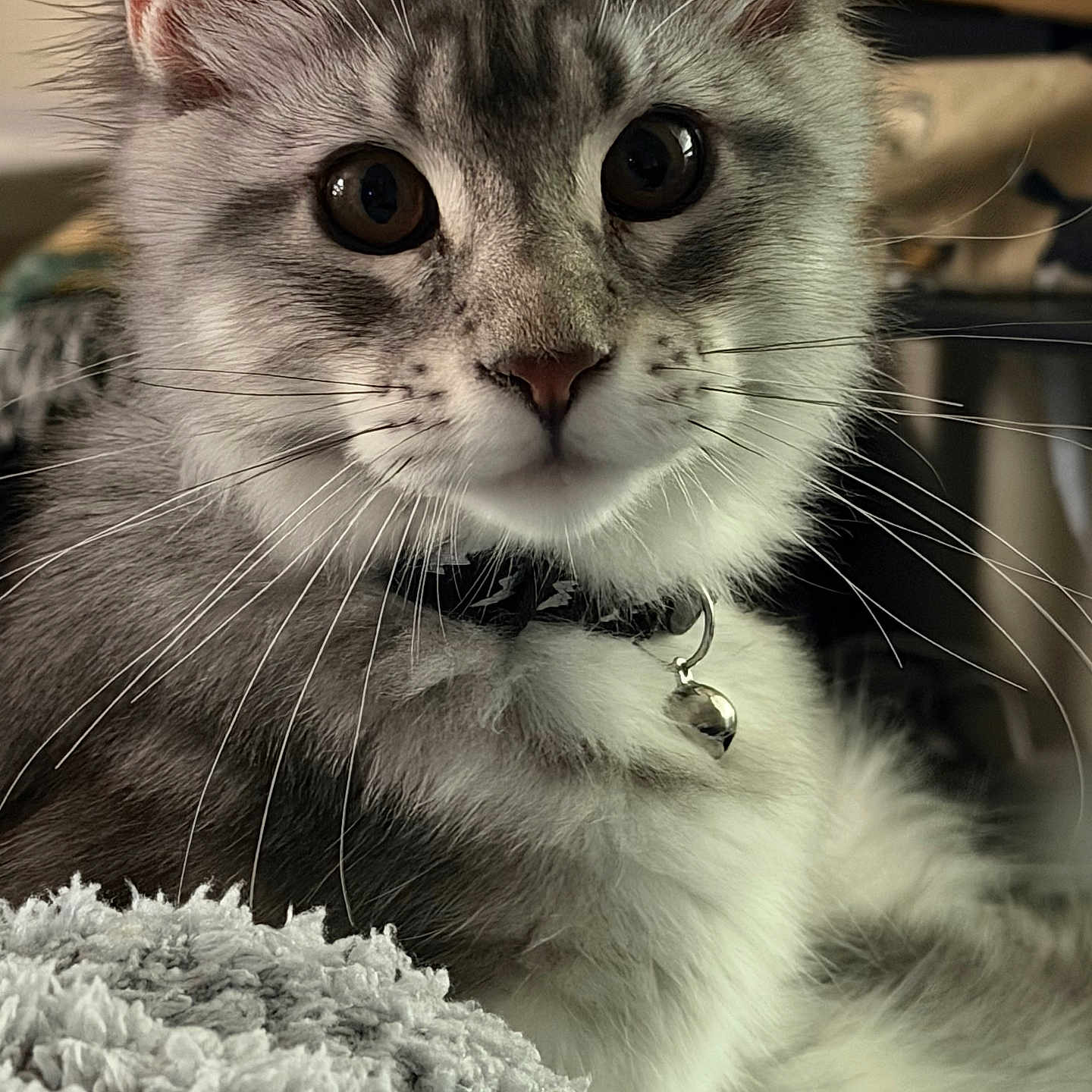 Nala