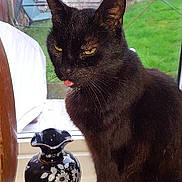 Jules is registered to the contest to win money with this photo: