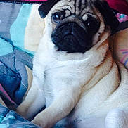 Edgar participe au concours pour gagner de l'argent avec cette photo :