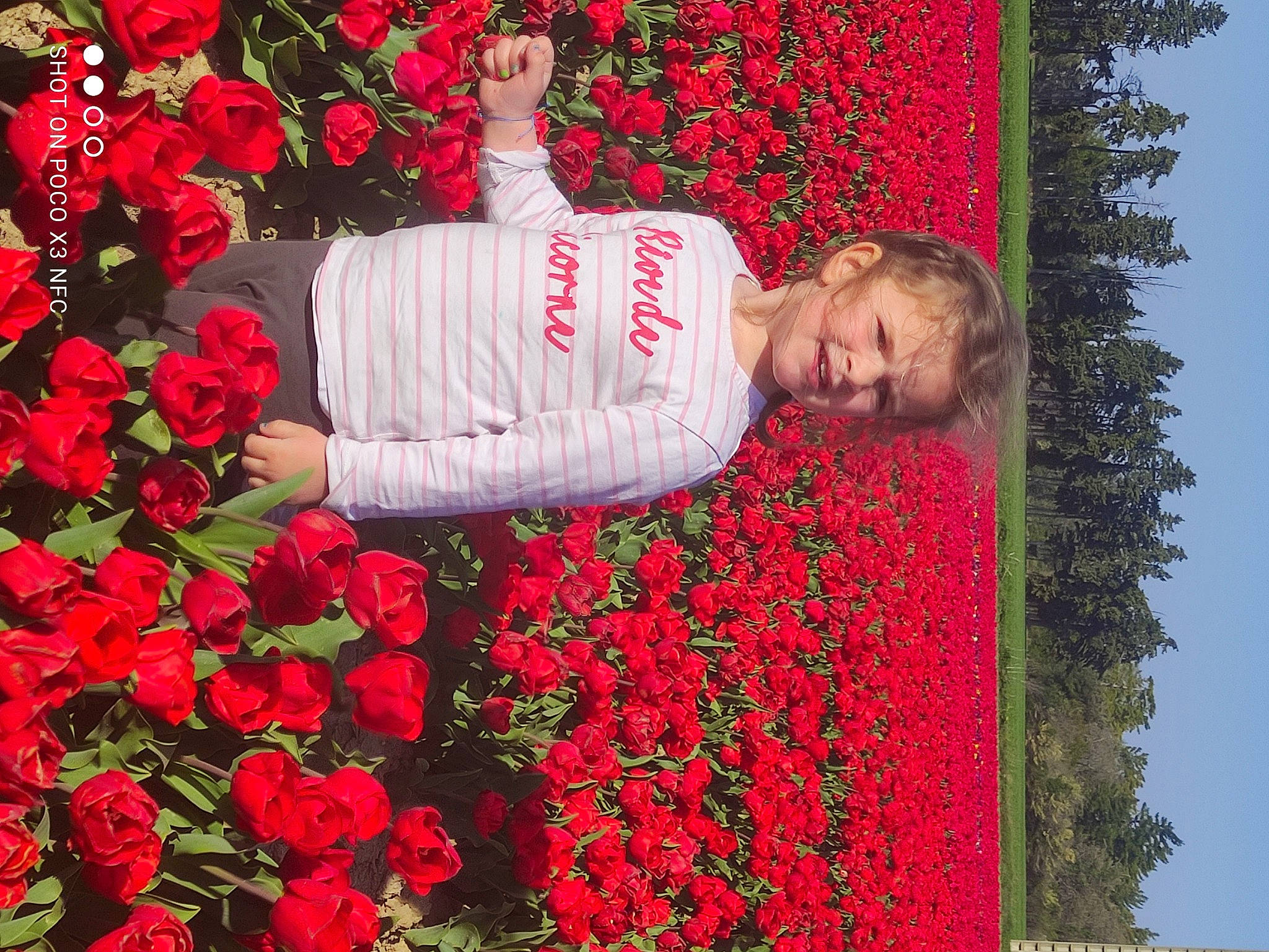 Arya a rejoint le concours — aidez-le/la à gagner de superbes lots ! beauty, botany, flower, flower_arranging, flowering_plant, grass, groundcover, happy, hybrid_tea_rose, leaf, people_in_nature, person, petal, photograph, pink, plant, red, rose, shrub, sky