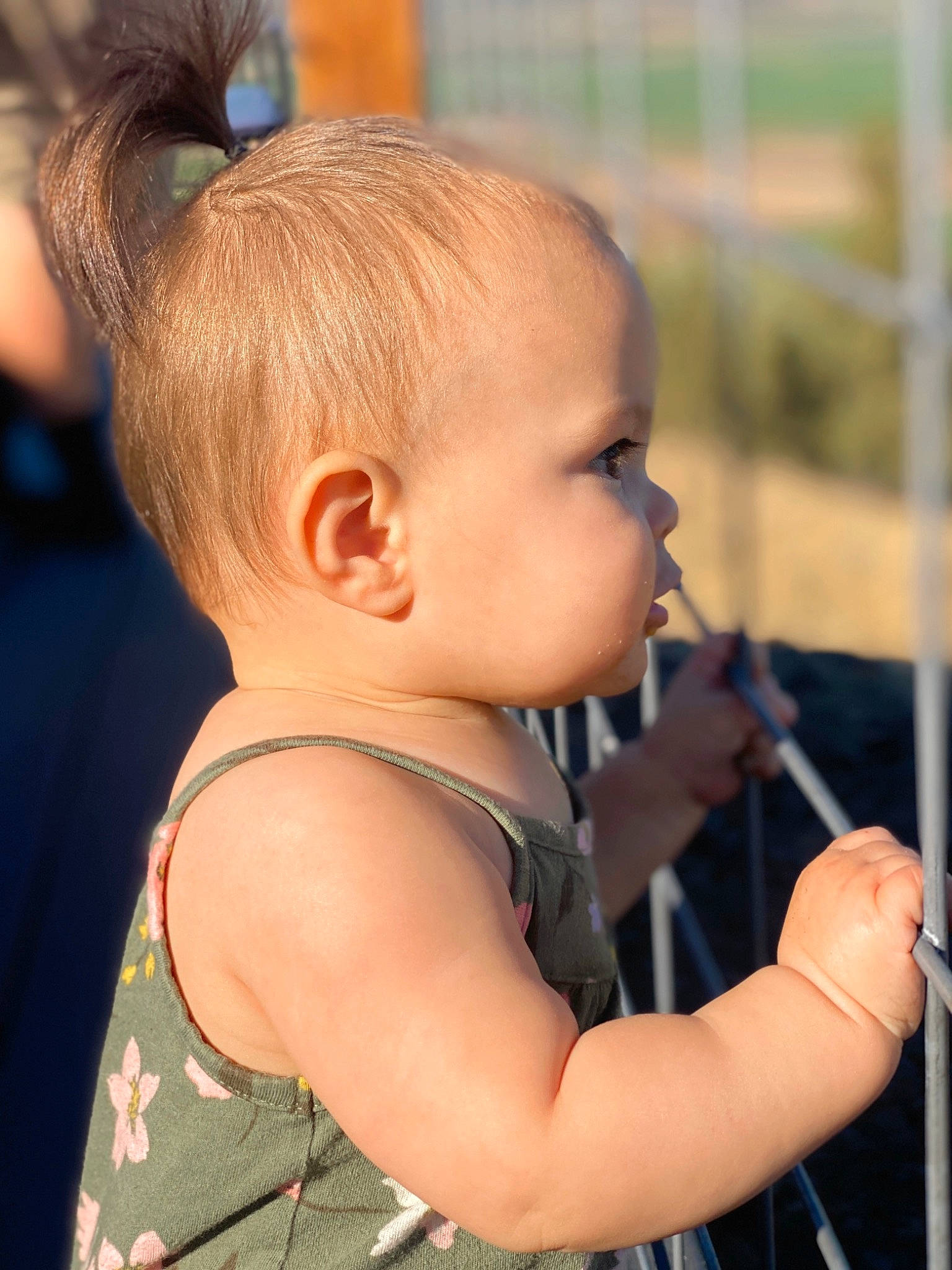 Jojo is registered to the contest to win money with this photo: arm, baby, baby_toddler_clothing, cheek, chin, eye, eyelash, glasses, hand, happy, human_body, iris, joint, lip, mouth, nose, person, plant, skin, sunglasses