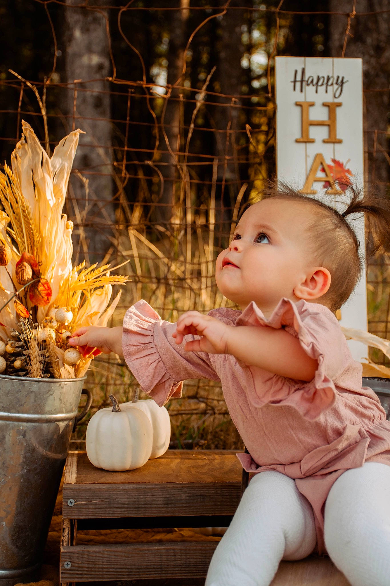 Jojo is registered to the contest to win money with this photo: baby, baby_toddler_clothing, calabaza, child, cucurbita, flowerpot, gourd, grass, happy, heat, houseplant, local_food, natural_foods, orange, person, plant, toddler, vegetable, winter_squash, wood