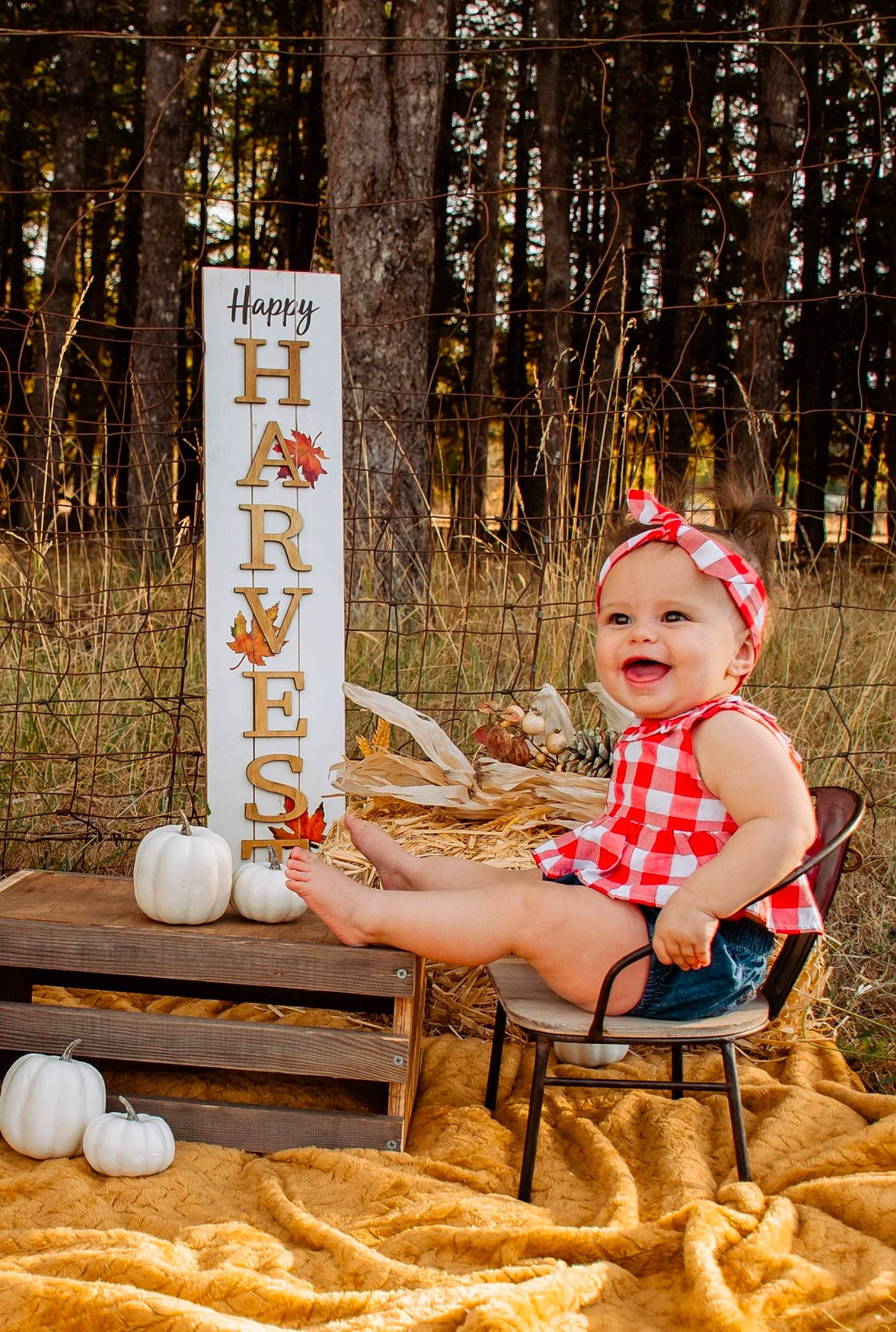 Jojo is registered to the contest to win money with this photo: baby, baby_toddler_clothing, chair, child, event, fun, grass, happy, headwear, human_body, leisure, people_in_nature, person, plant, recreation, shorts, sitting, smile, toddler, tree
