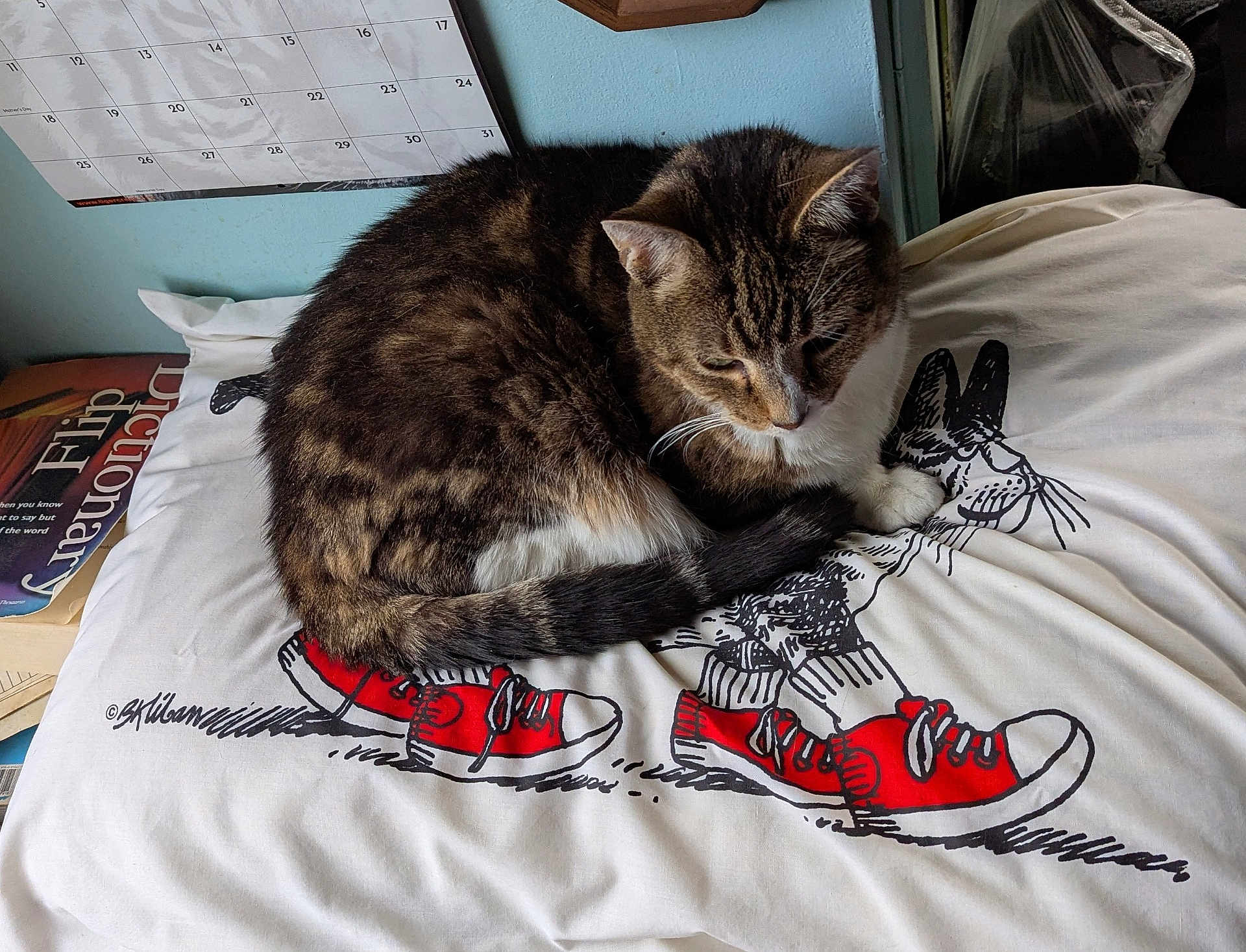 Riley joined the competition — help win amazing prizes! cat, tabby, pillow, cartoon, rabbits, red_sneakers, calendar, bedroom, indoor, pet, fur, animal, resting, cute, whiskers, tail, close_up, feline, home, relaxed