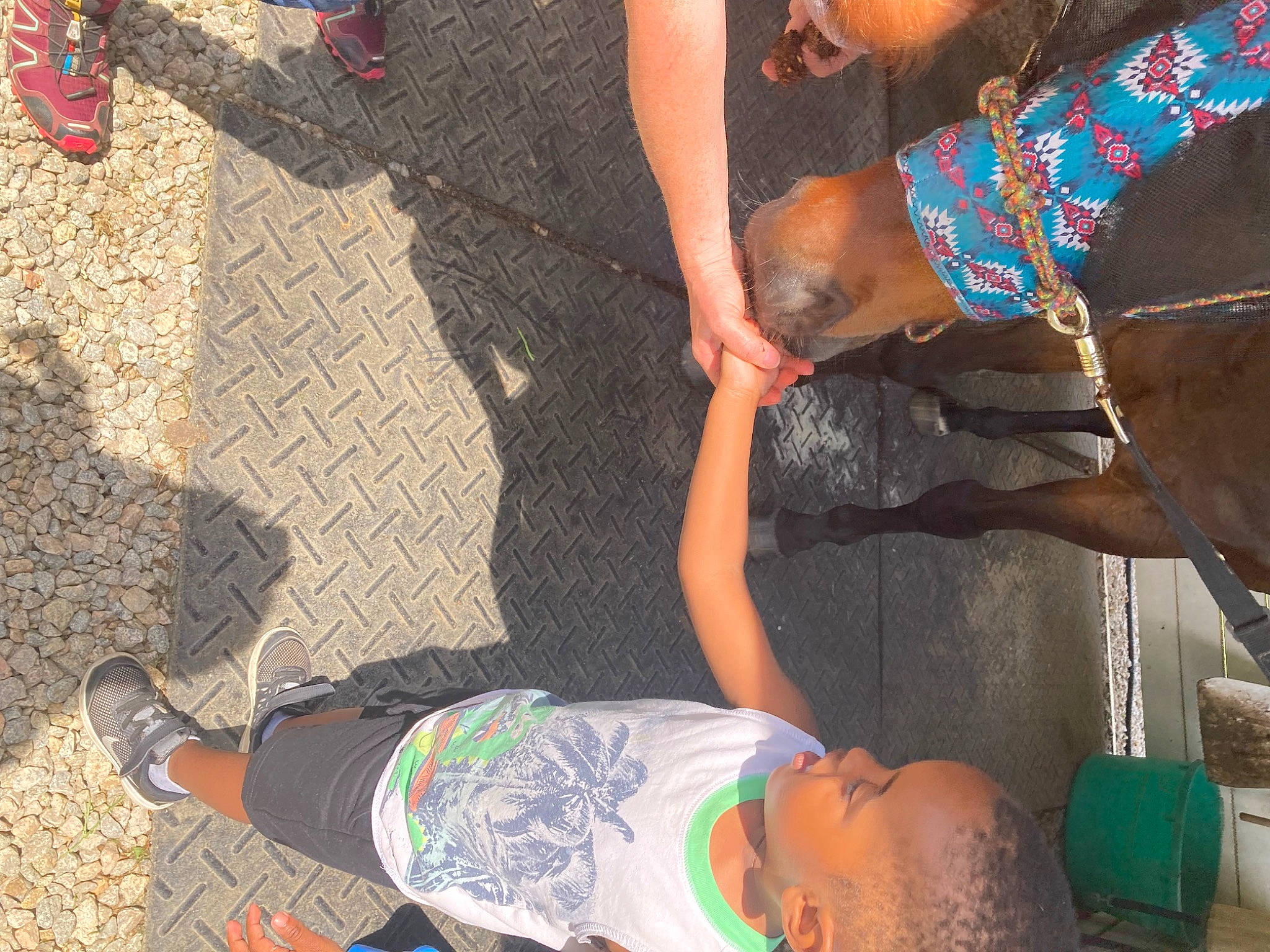 Bentley is registered to the contest to win money with this photo: adaptation, black, event, foot, fun, grass, green, human_leg, leg, leisure, mammal, people, person, shoe, shorts, snapshot, soil, thigh, tree, vertebrate