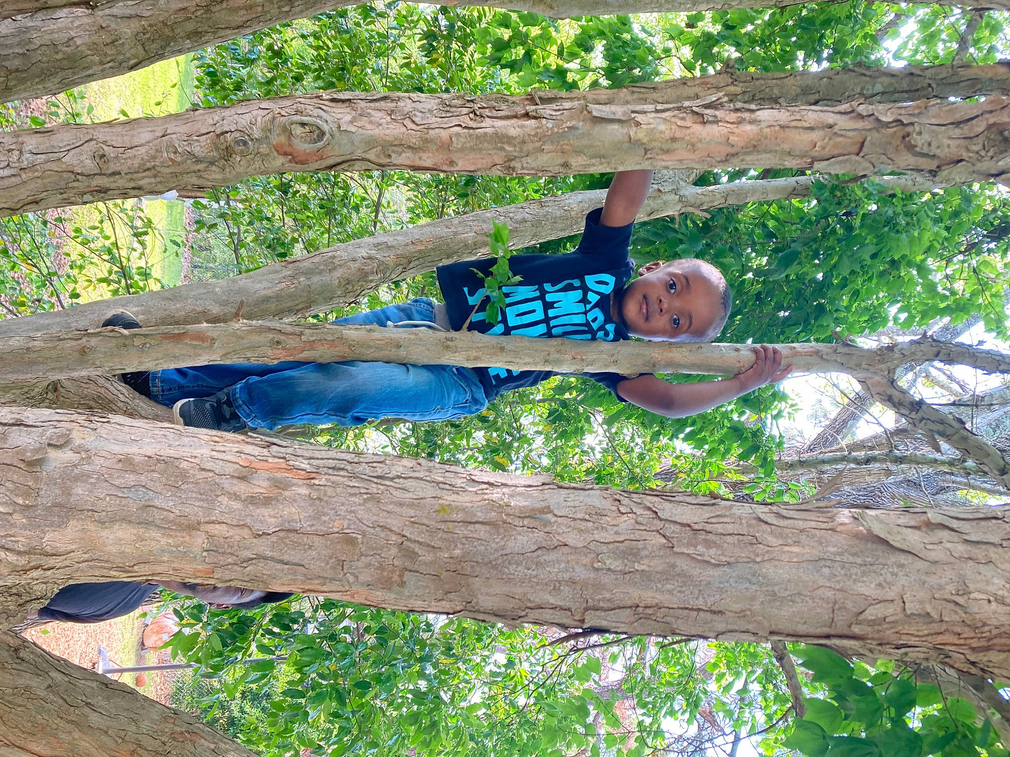 Bentley joined the competition — help win amazing prizes! botany, branch, elbow, electric_blue, fun, happy, jungle, leisure, mammal, people_in_nature, person, plant, spring, t_shirt, tree, trunk, twig, vacation, wood, woody_plant