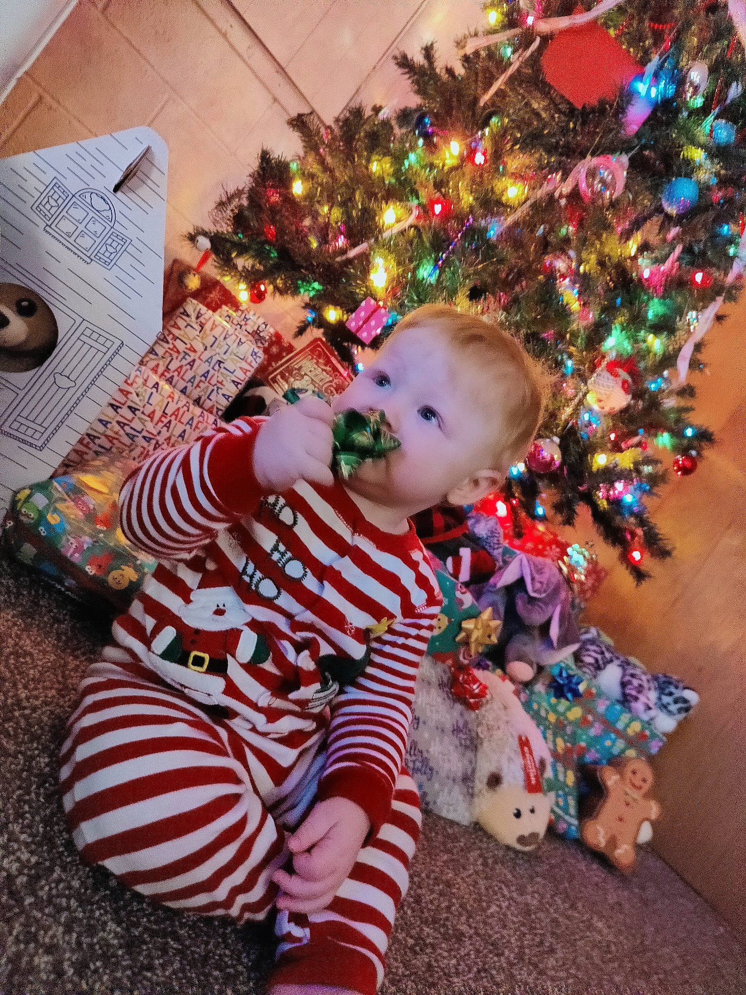 Caiden is registered to the contest to win money with this photo: baby, baby_toddler_clothing, child, christmas, christmas_decoration, christmas_eve, christmas_ornament, christmas_tree, event, fun, happy, head, holiday, holiday_ornament, ornament, person, room, sitting, toddler, tree