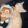 cat, kitten, sleeping, plush_toy, bear, stuffed_animal, orange_tabby, cozy, cute, resting, soft, toy_costume, dinosaur_hat, pet, animal, young_cat, feline, nap, indoor, cuddling