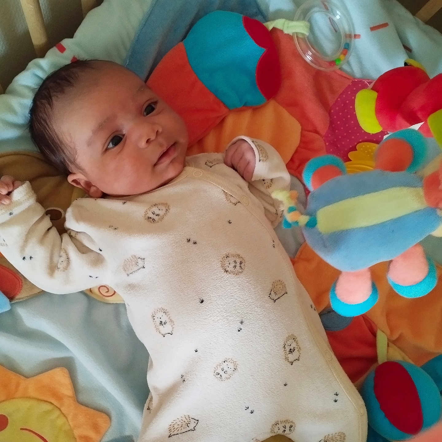 Raphaël participe au concours pour gagner de l'argent avec cette photo : baby, baby_clothing, child, colorful, comfort, cute, expression, face, hand, head, hedgehog_pattern, indoors, infant, lying_down, newborn, onesie, play_mat, resting, soft_toys, wooden_crib