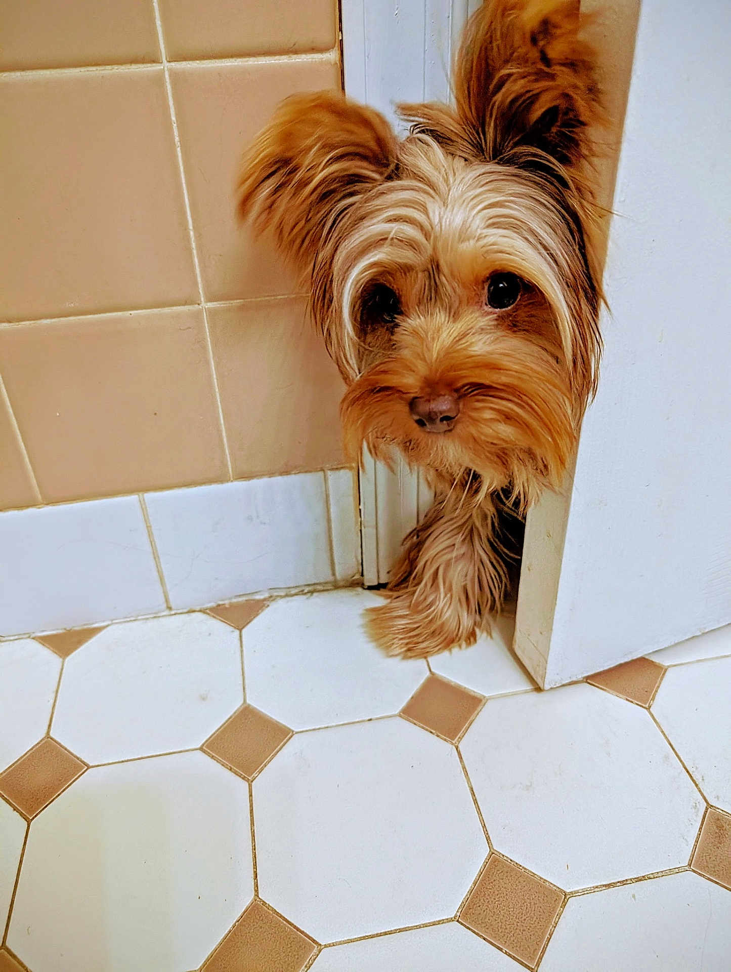 Lola