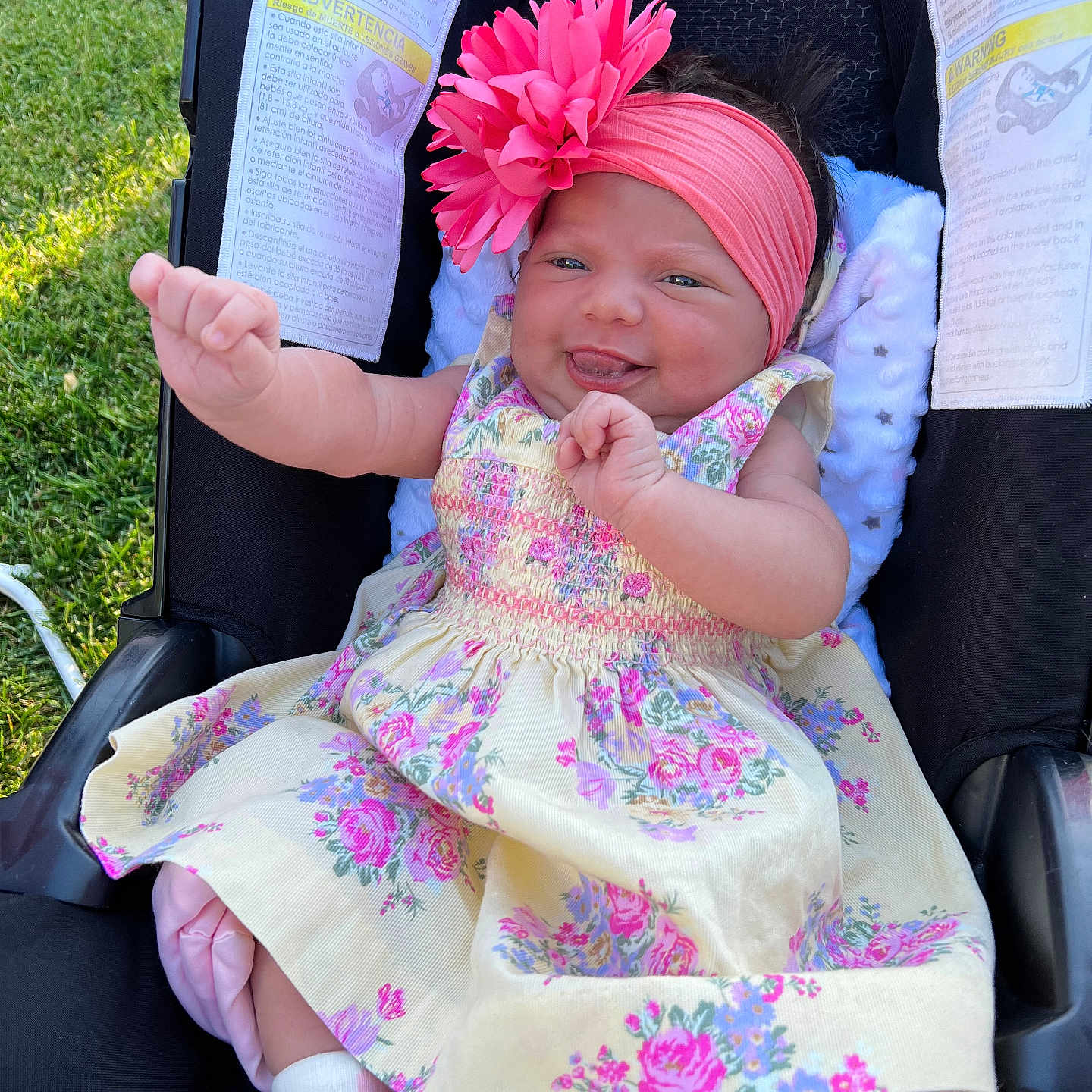 Evangeline