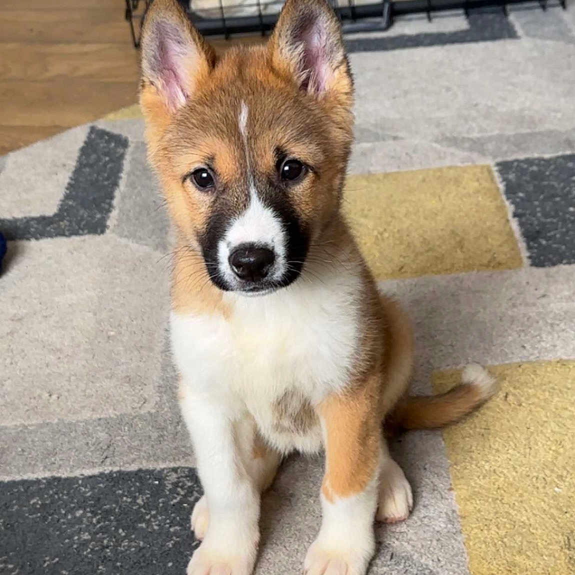 Dakota